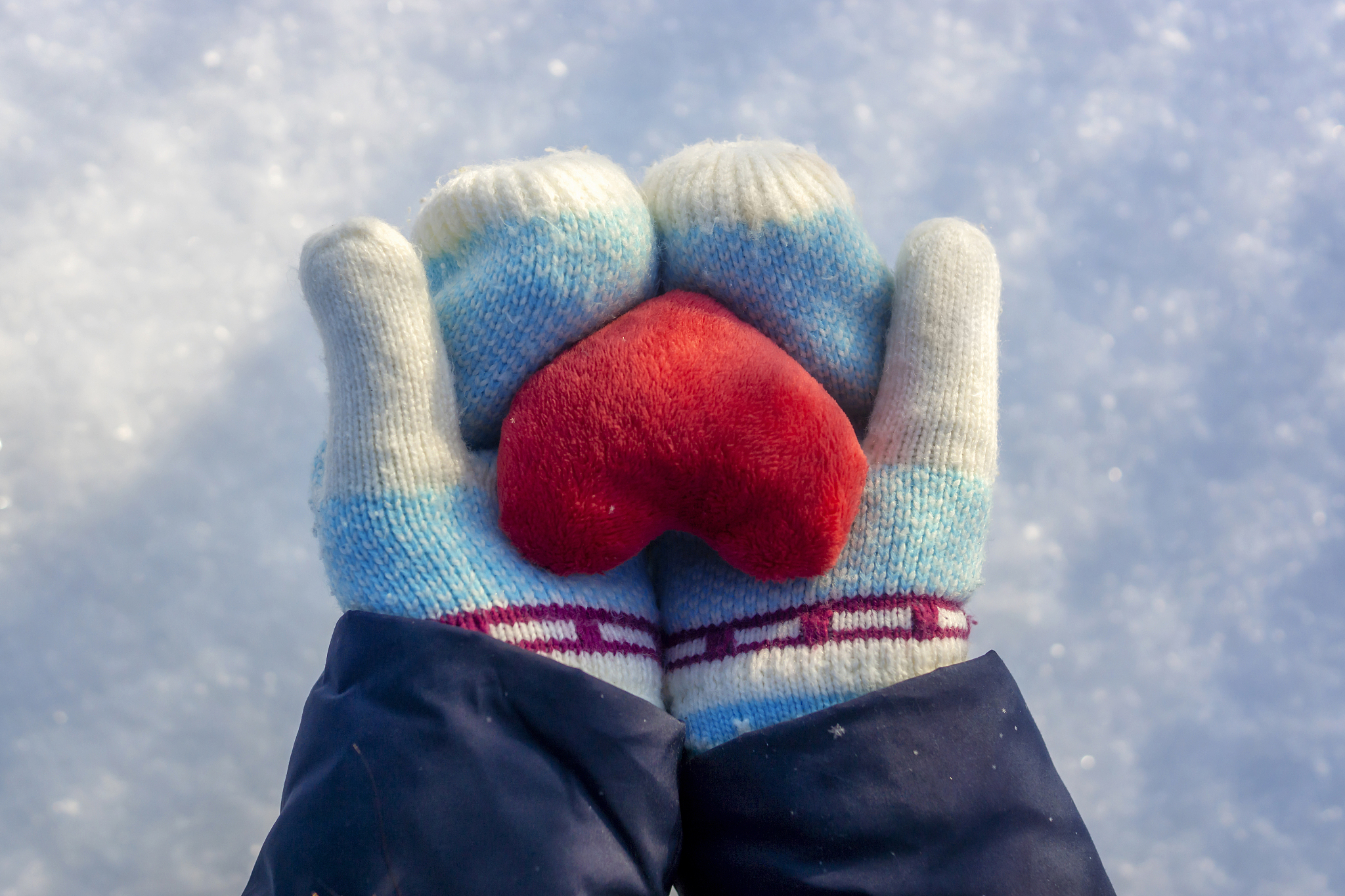 plush love heart in hands in valentine's day