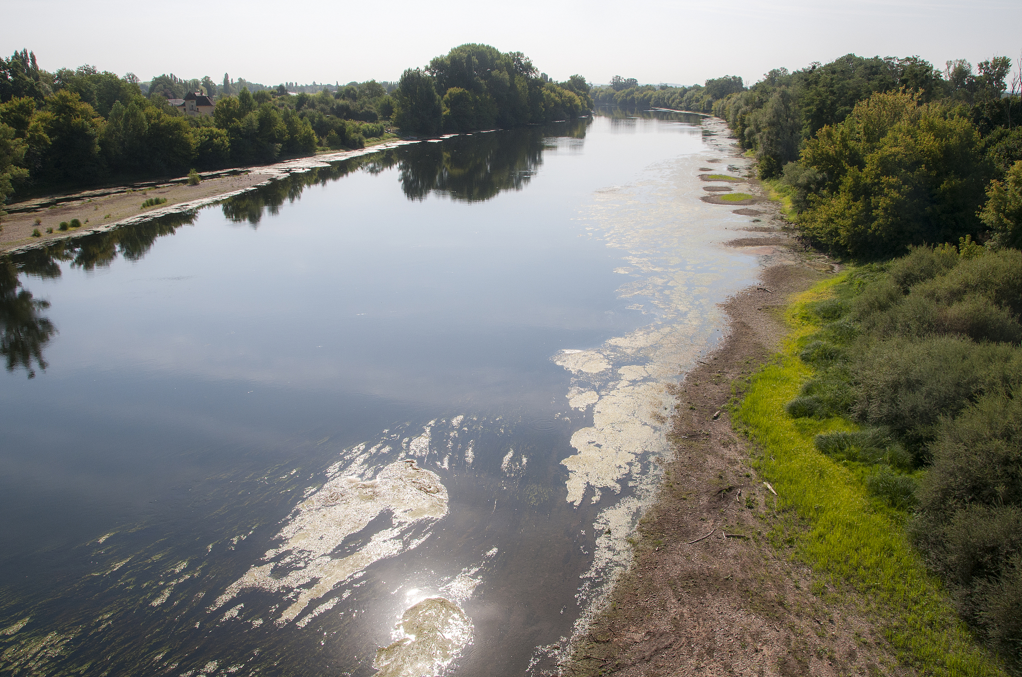学者们越来越意识到保护拉萨河鱼类的重要性了解入侵鱼类的营养动态分析入侵鱼类与土著鱼类之间的营养相互作用包括捕食、竞争等。翻译成英文