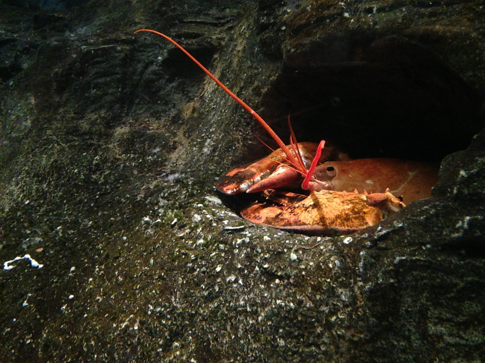 绵阳仙海湖景区有趣的Q版形象还有吗还有其他的吗