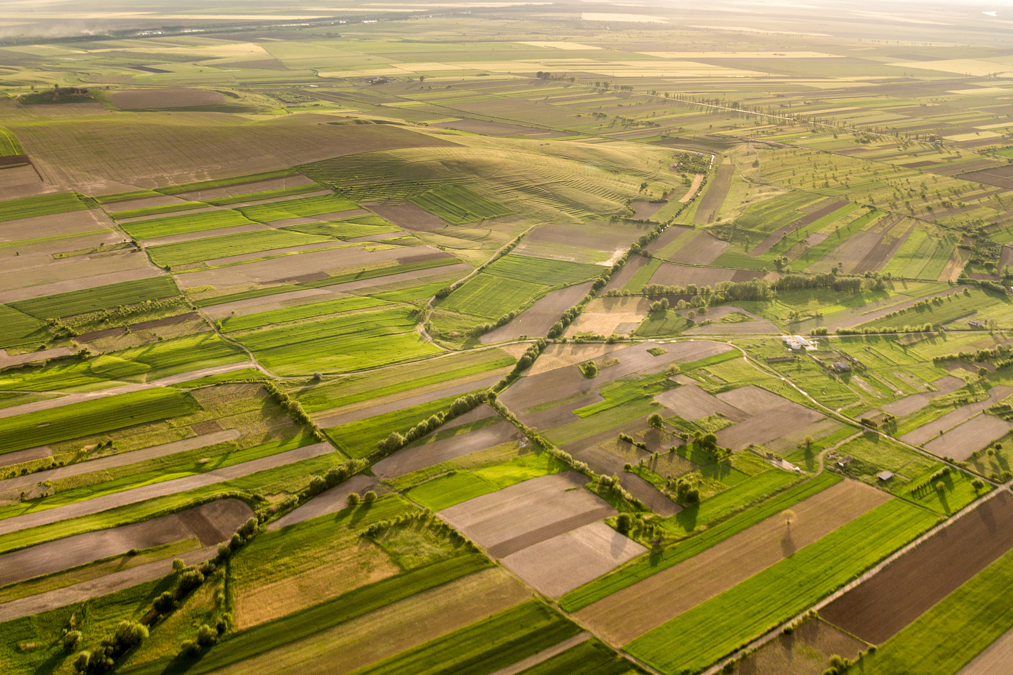high angle view of agricultural field