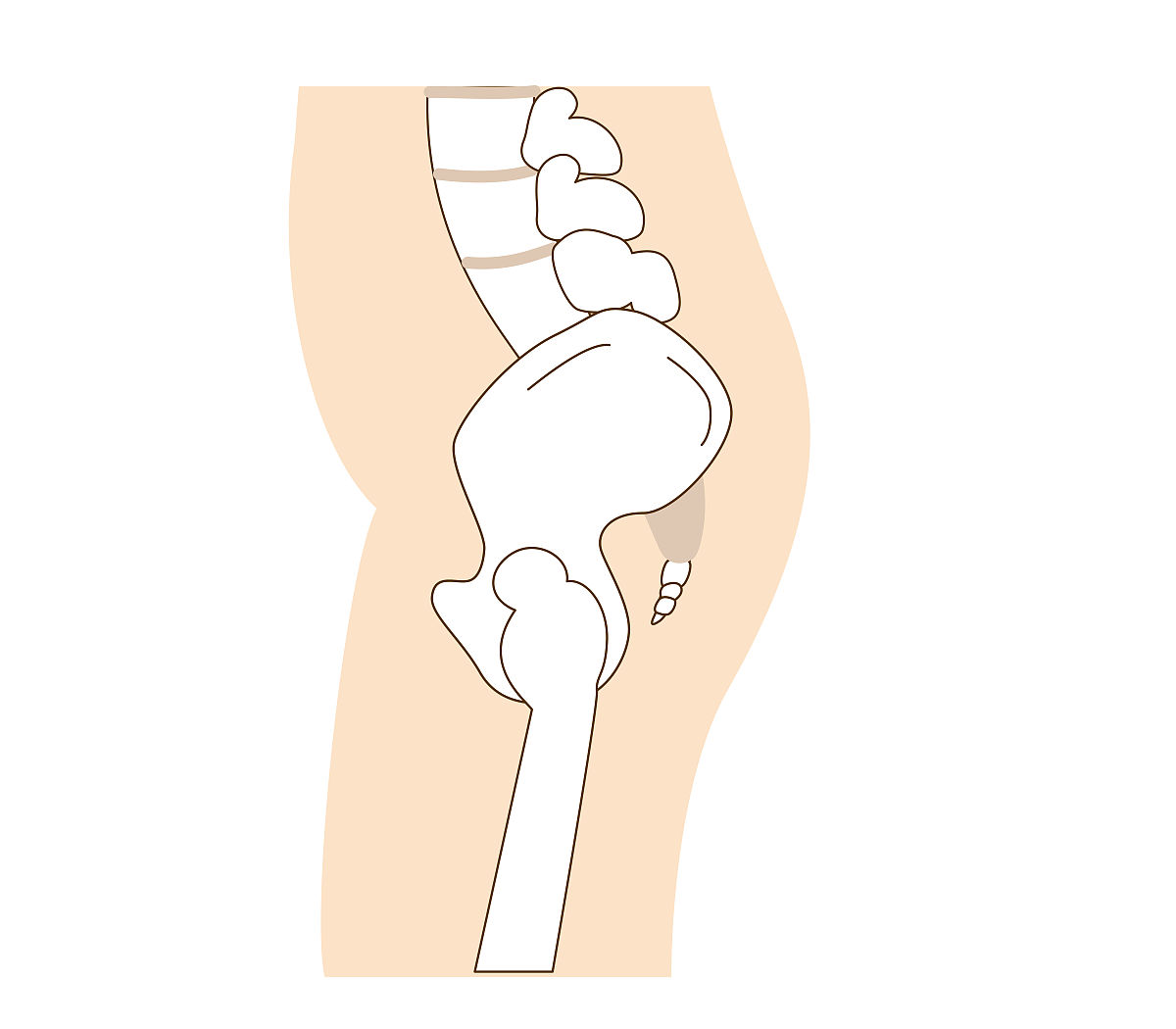 竖叉胯根老是贴不了地，