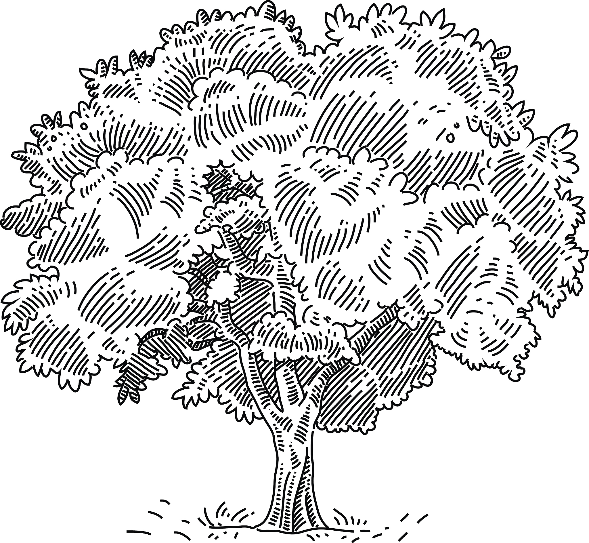 请设计一节美术课题目为：认识身边的树。教学目的：1、了解树的基本结构不同树种的外形特点树的生长规律等方面的科学知识；2、观察树的外形线条纹理的变化学会运用线条进行艺术创作；包含的关键环节：1、通过小组合作的形式观察、体验、探究观察大自然中树的生动姿态和优美线条探究如何运用线条进行艺术表达；2、一个师生互动活动：用一颗神奇的种子种在本子上老师种在黑板上种神奇的种子然后一起浇浇水吹吹风学生一起吹风互动