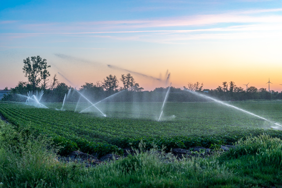 你好你是一名公司的新闻工作者公司举办了一场关于智能农业装备展览的展会请你写一篇相关的新闻报道