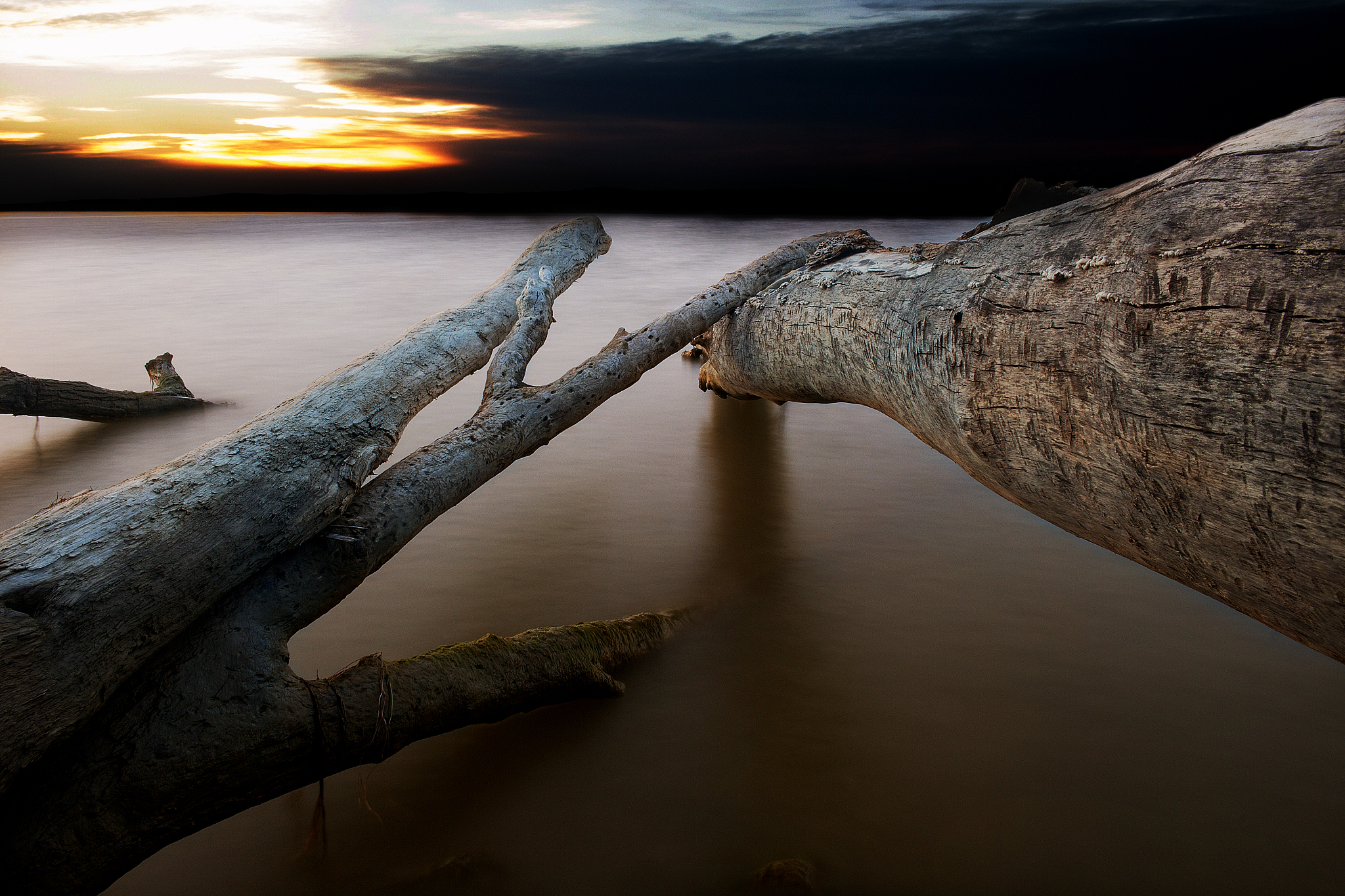 网友：With more rain i wanted to get some Macro pics Im liking the results Time well spent如何回答？