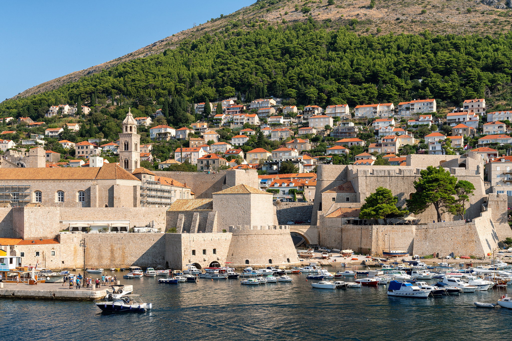 dubrovnik old town harbor