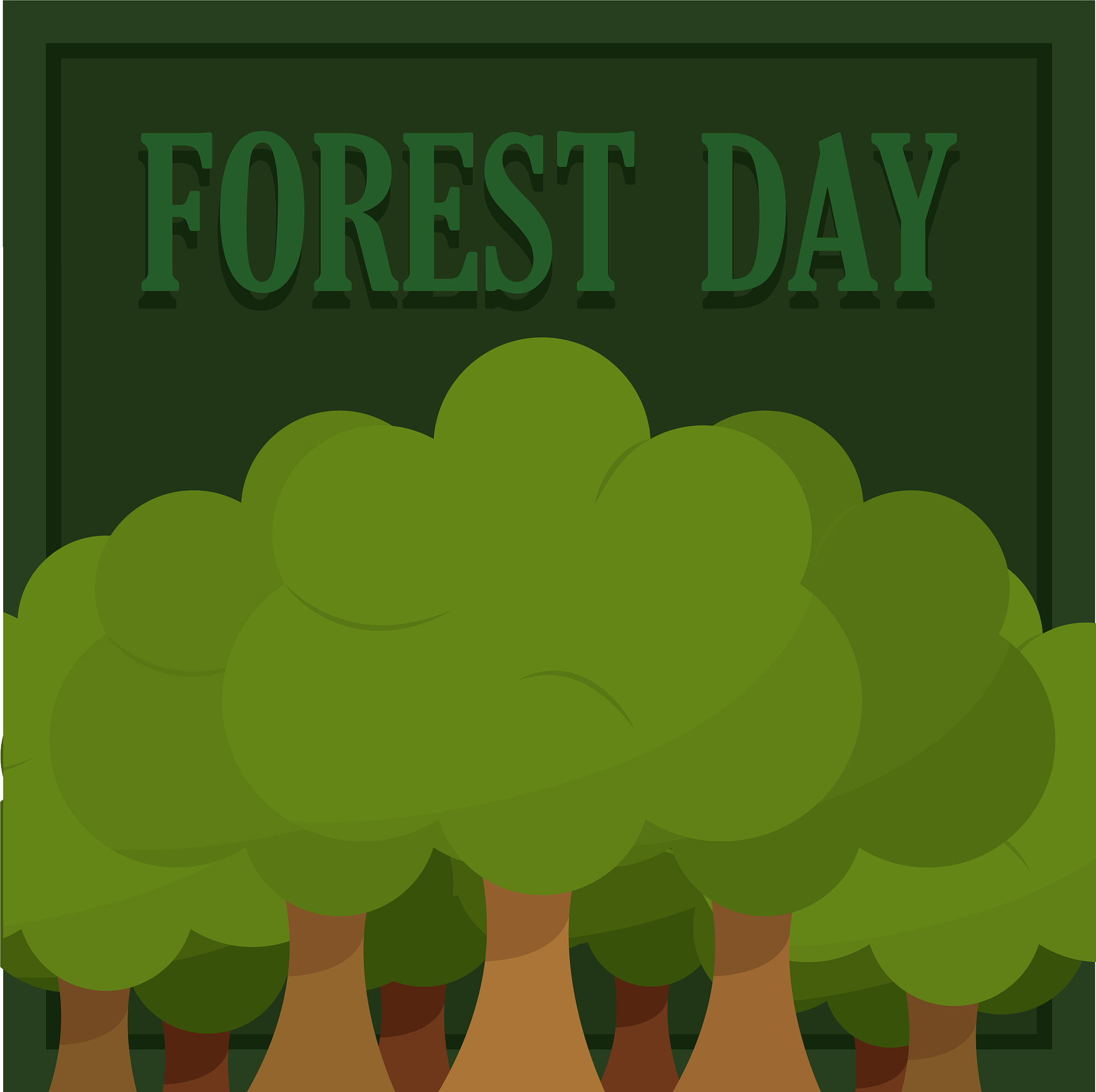 FOREST ECOLOGY AND MANAGEMENT期刊: 森林生态学与管理研究的权威平台