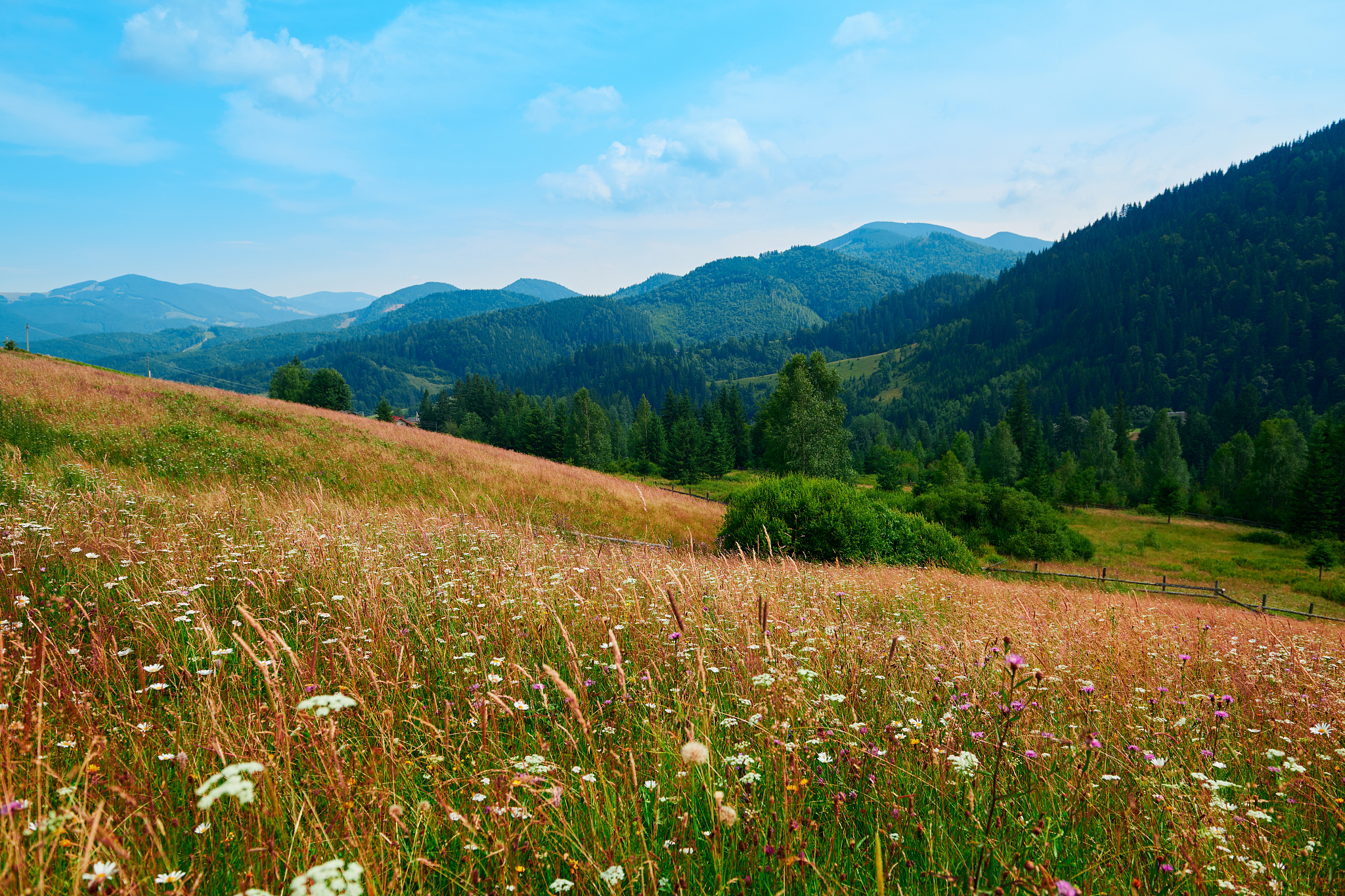 用一小段优美的话描述一个美景