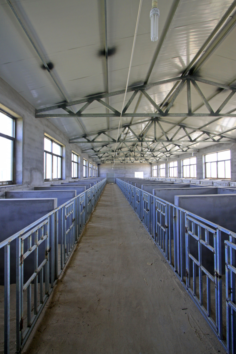 资金100万3000平方的猪舍能养多少头猪怎么设计可以达到最大利润