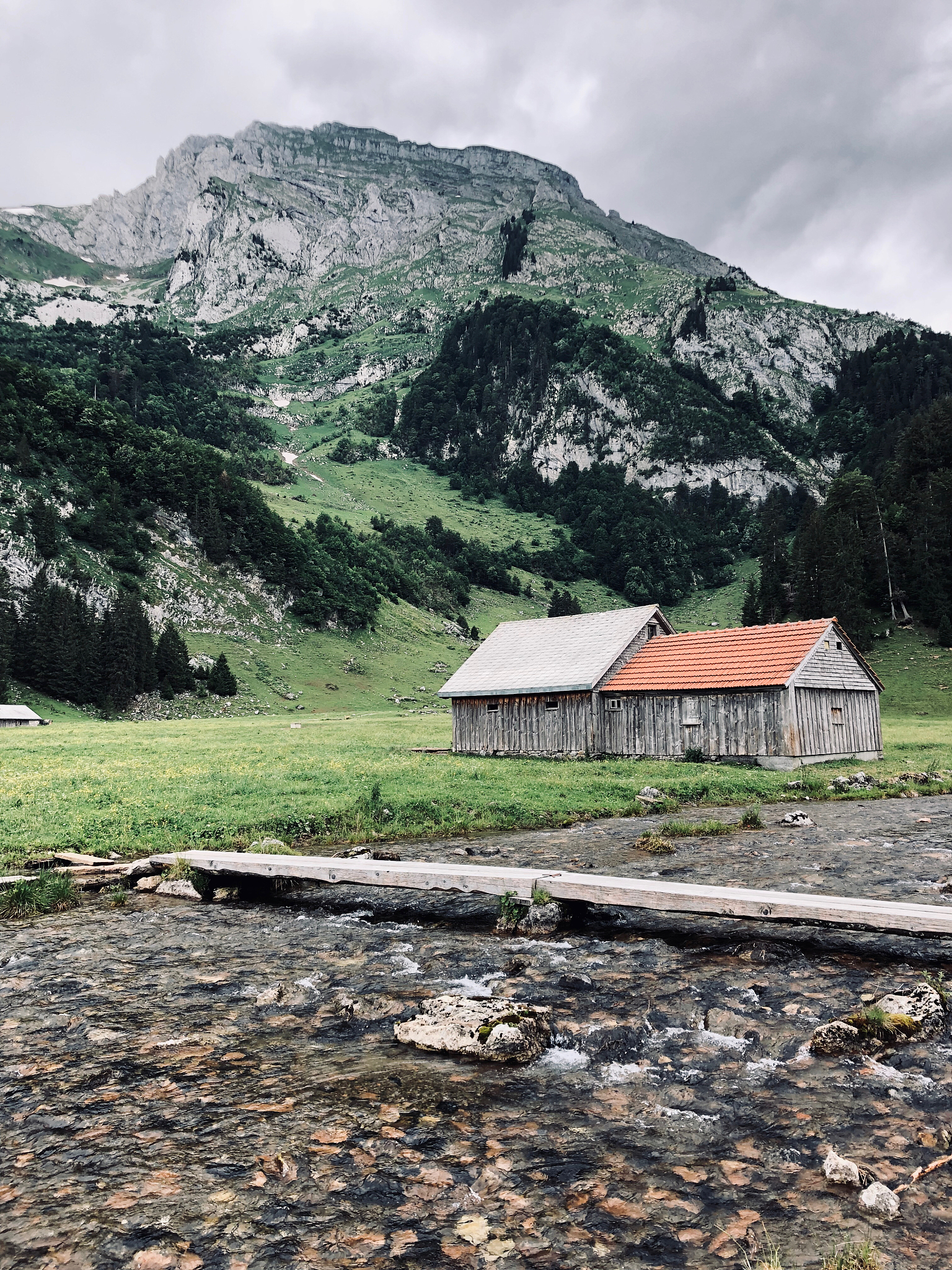 写出香芋壁纸的软件介绍软件特色软件亮点软件优势软件测评