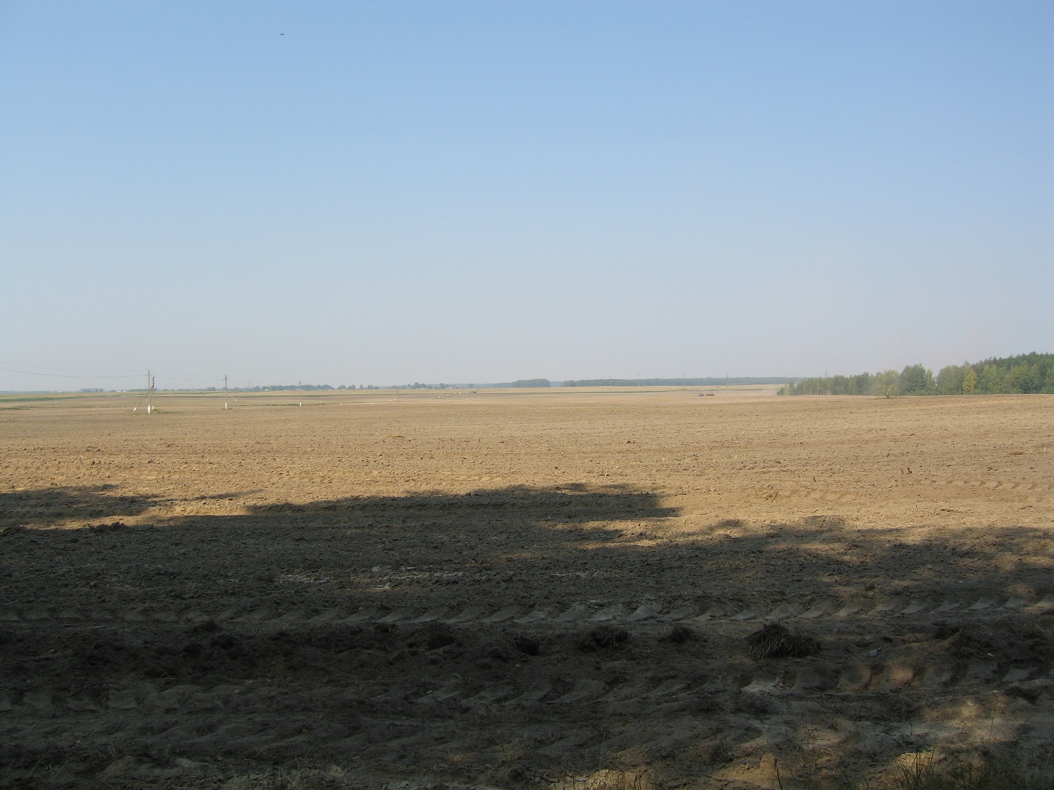 field