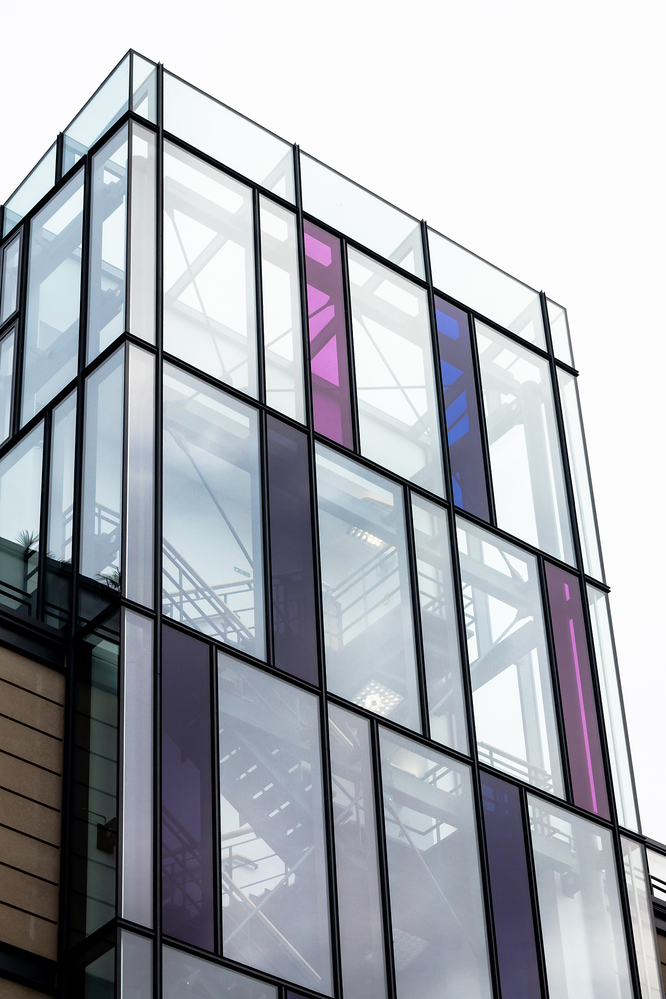 reflect those colours