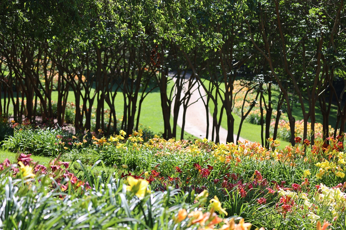 从调查过程、调查内容、调查结果方面论述乡土植物在西安市兴庆公园中的应用调查自行添加乡土植物种类、数量和应用数据不少于1000字。
