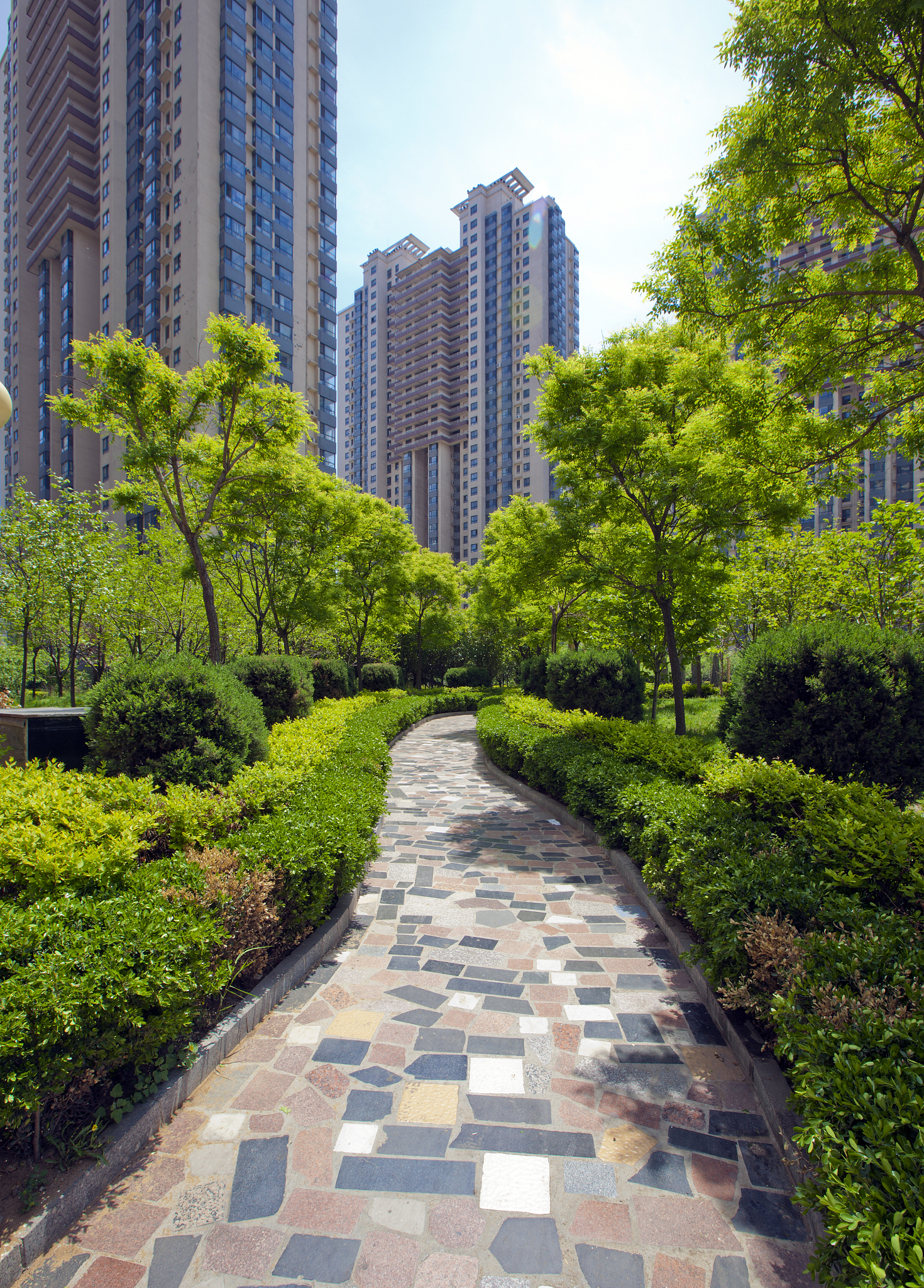 城市小区绿化