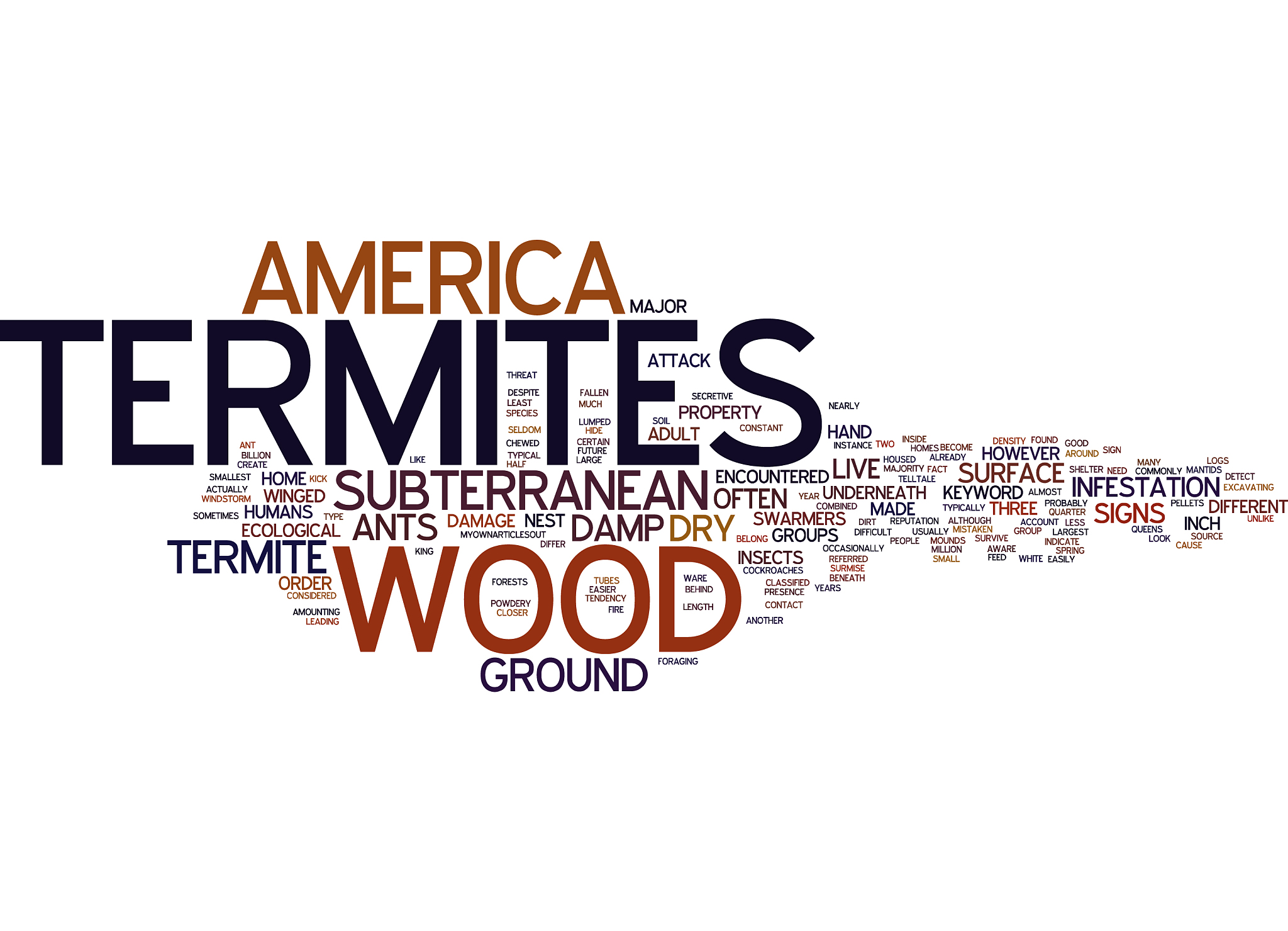 termites in america text background word cloud