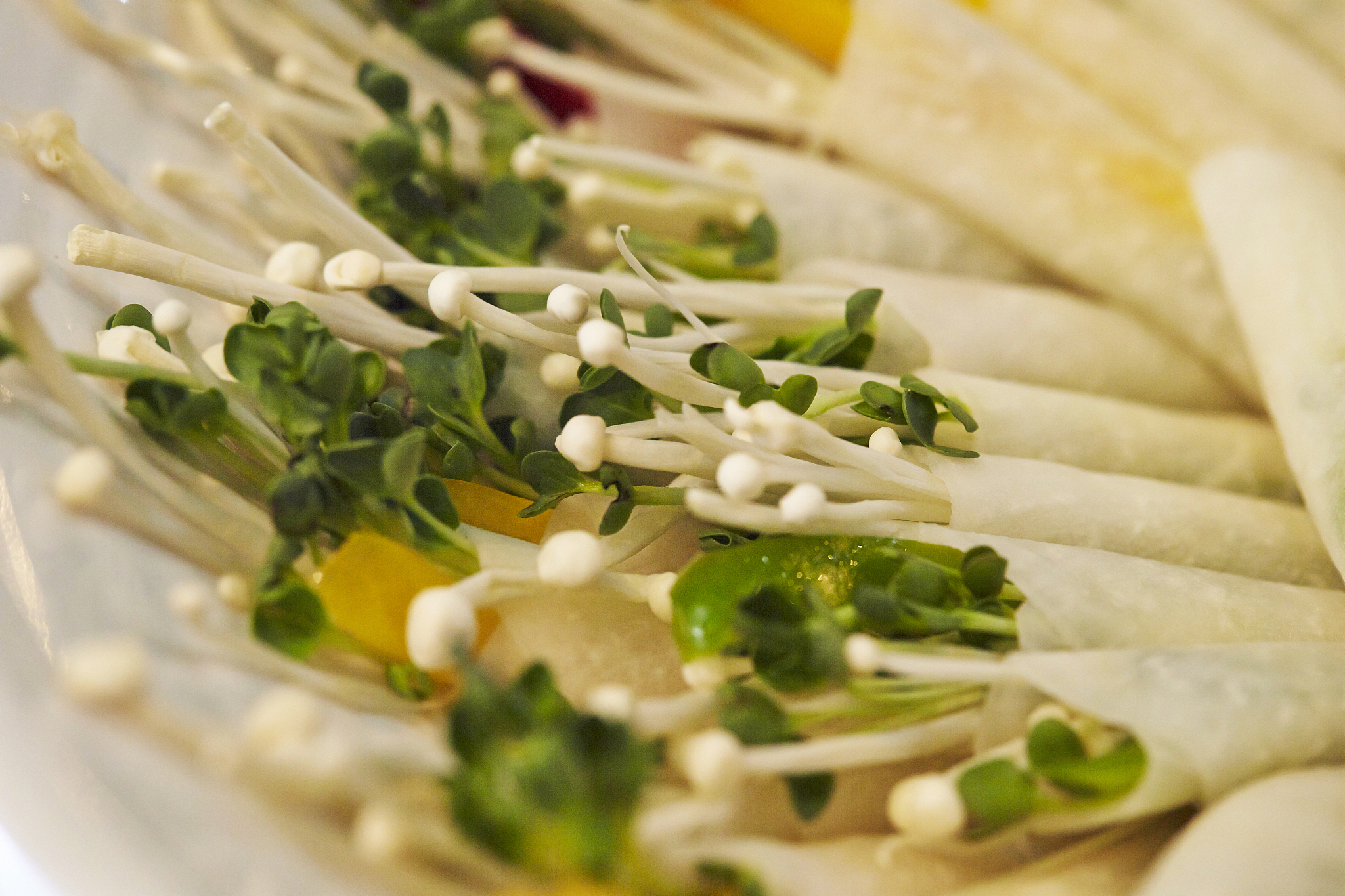 湖南食品药品职业学院药品经营与管理专业怎么样