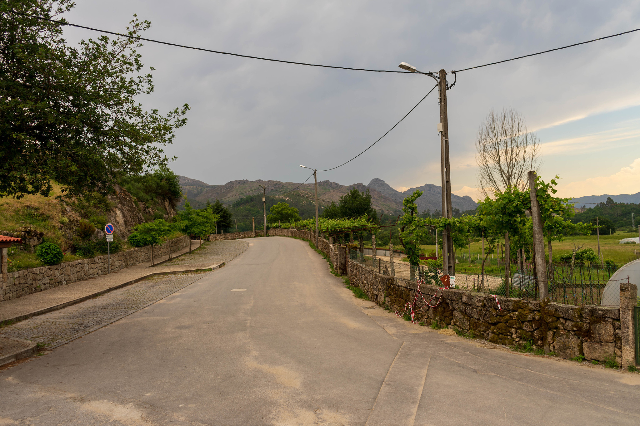 蓝家坝屯道路概况 - 广西忻城县思练镇