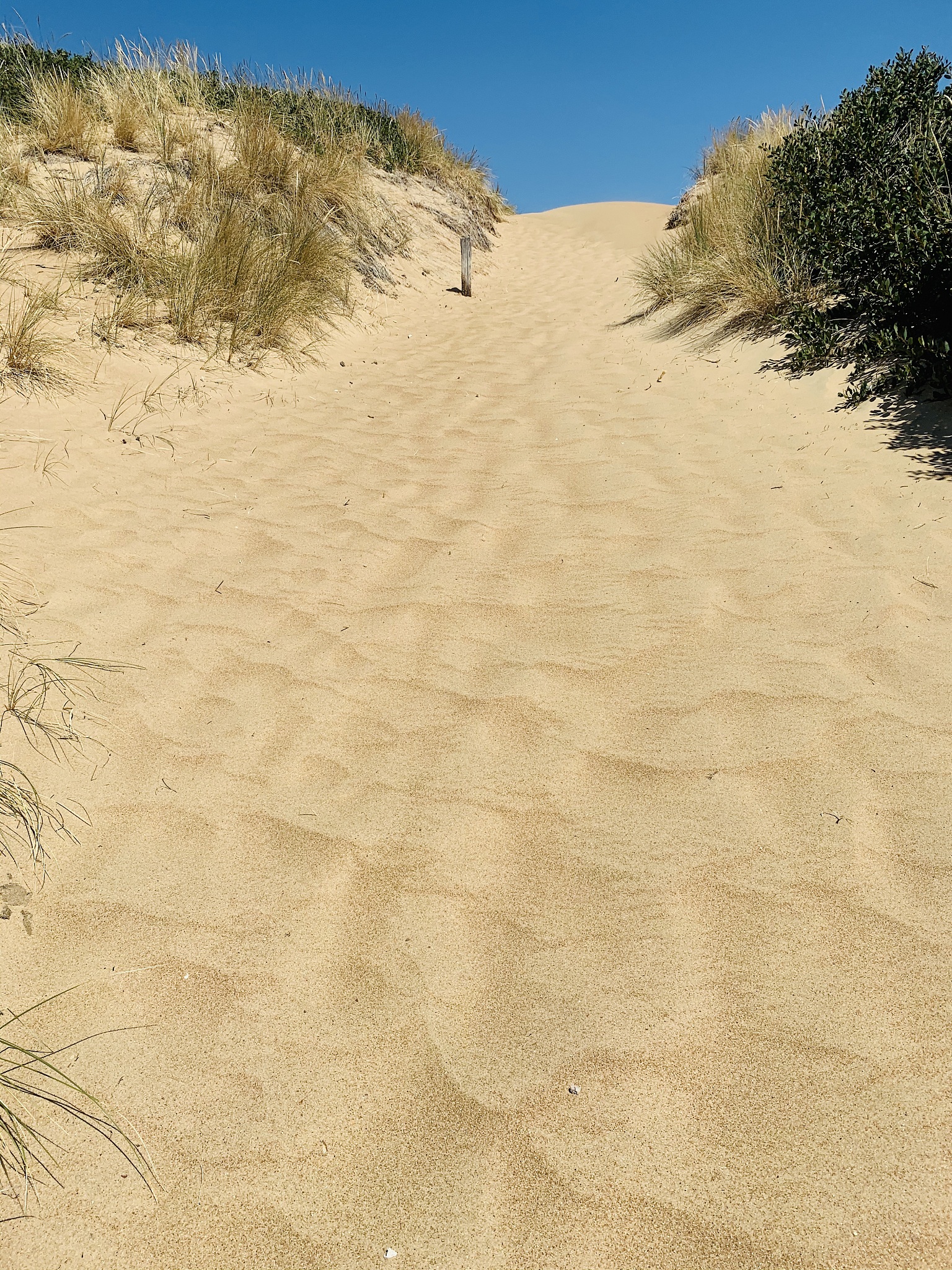 footprints on sand at beach against sky
