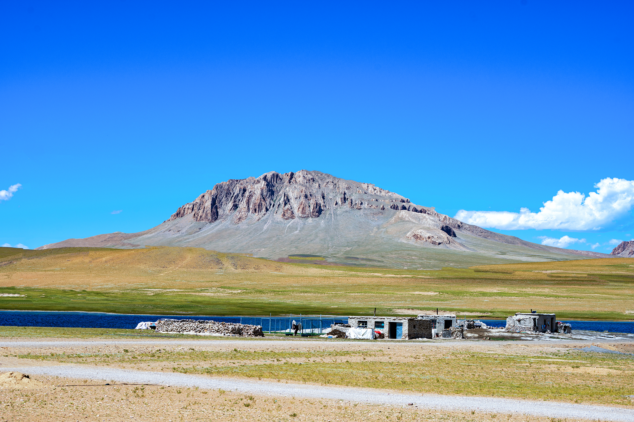 《绿皮书》影评：友谊与种族，超越时代 - 初中生视角