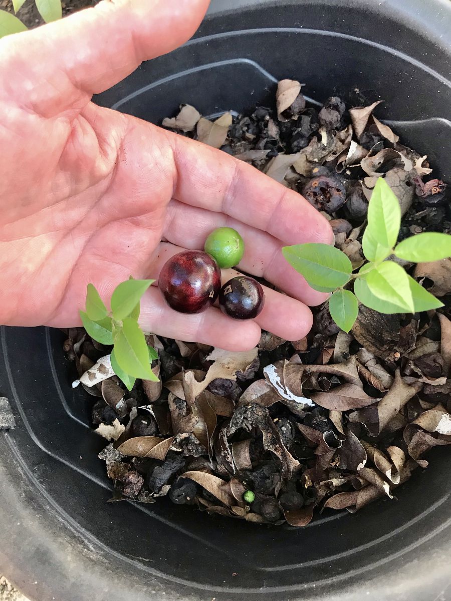 通常用来测量持续性注意的是什么方法