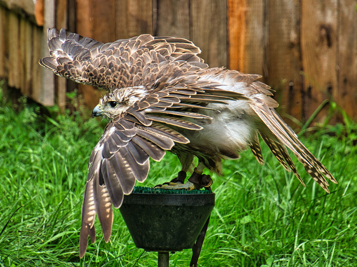 初中生读航空专业有保障吗用发