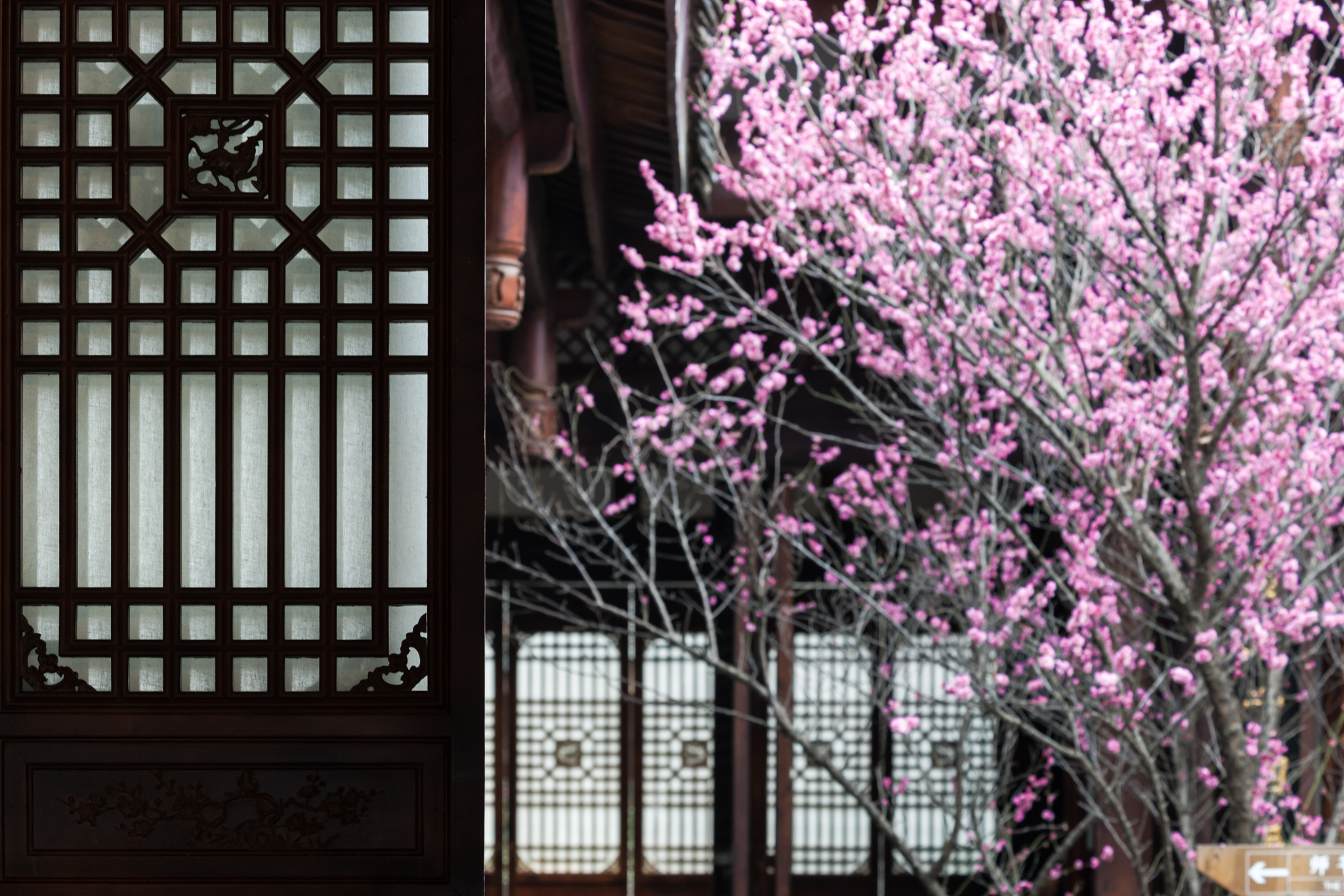 南充中专学校就业前景：哪所学校更好？