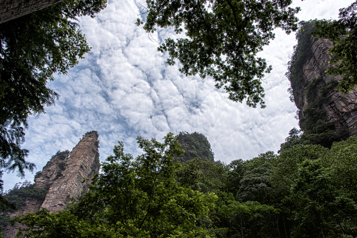 4月份去张家界穿什么衣服合适4月份去张家界的天气温度一般在10-20摄氏度之间建议穿上轻便舒适的衣服如长袖T恤、牛仔裤等。同时还要注意带上外套或羽绒服等保暖衣物因为早晚温度较低需防寒保暖。此外张家界降雨较多建议带上一把伞以备不时之需。4月中旬以后去张家界穿什么衣服4月中旬以后的张家界气温逐渐上升一般在15-25摄氏度之间而夜晚温度仍然较低所以建议穿上轻便舒适的衣服如短袖T恤、长裤等同时带上一件薄外