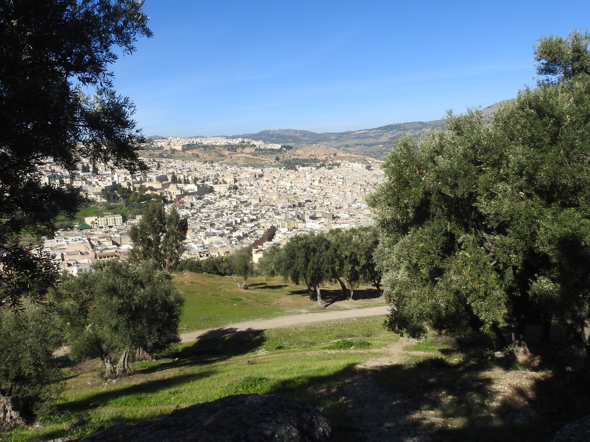 Cerrajeros Montecarmelo: ¡Tu solución rápida y confiable!