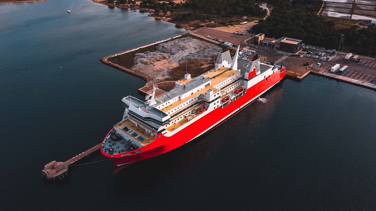 翻译确定香港地区作为局部地域对价格的影响要素？双体和单体船是否一致？