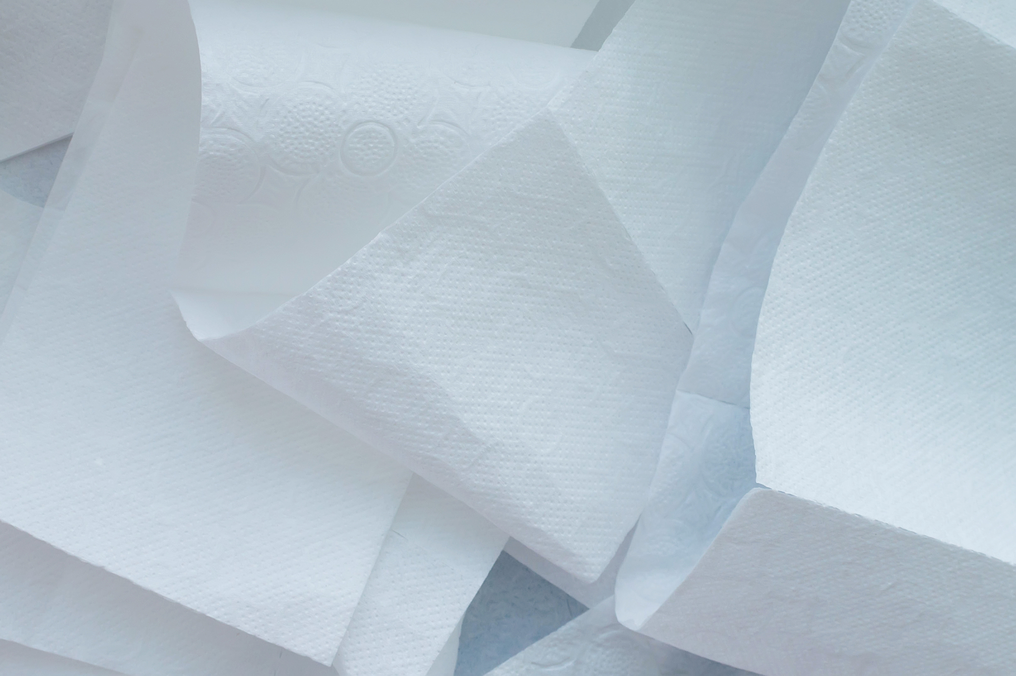 roll of white toilet paper on a blue background. close up.