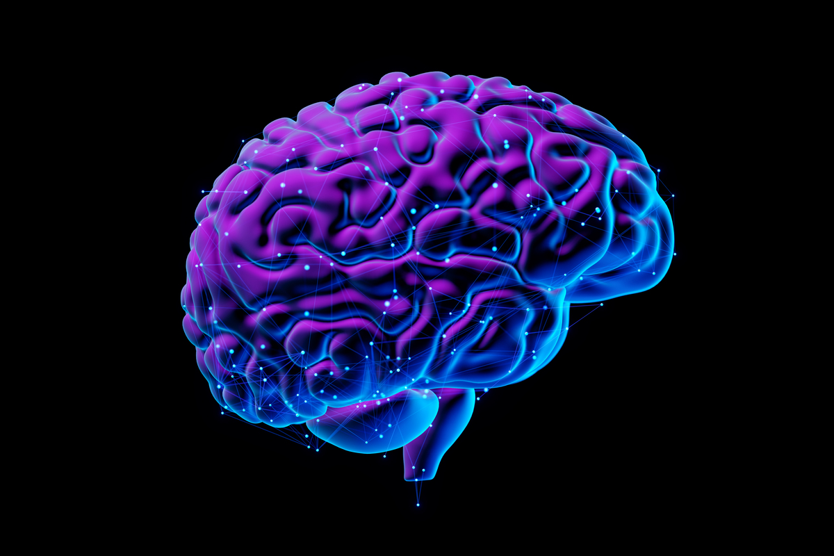 以音乐与大脑：音乐如何影响我们的大脑？为题写一篇700字文章