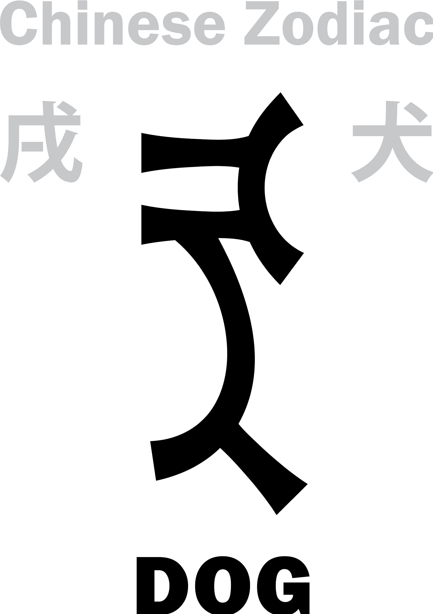 生肖狗：忠诚勇敢、聪明友善的象征