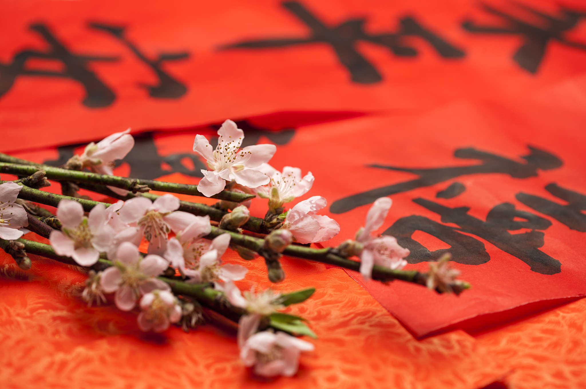 对对子：风有约，花不误，年年岁岁不相负，下联有哪些？