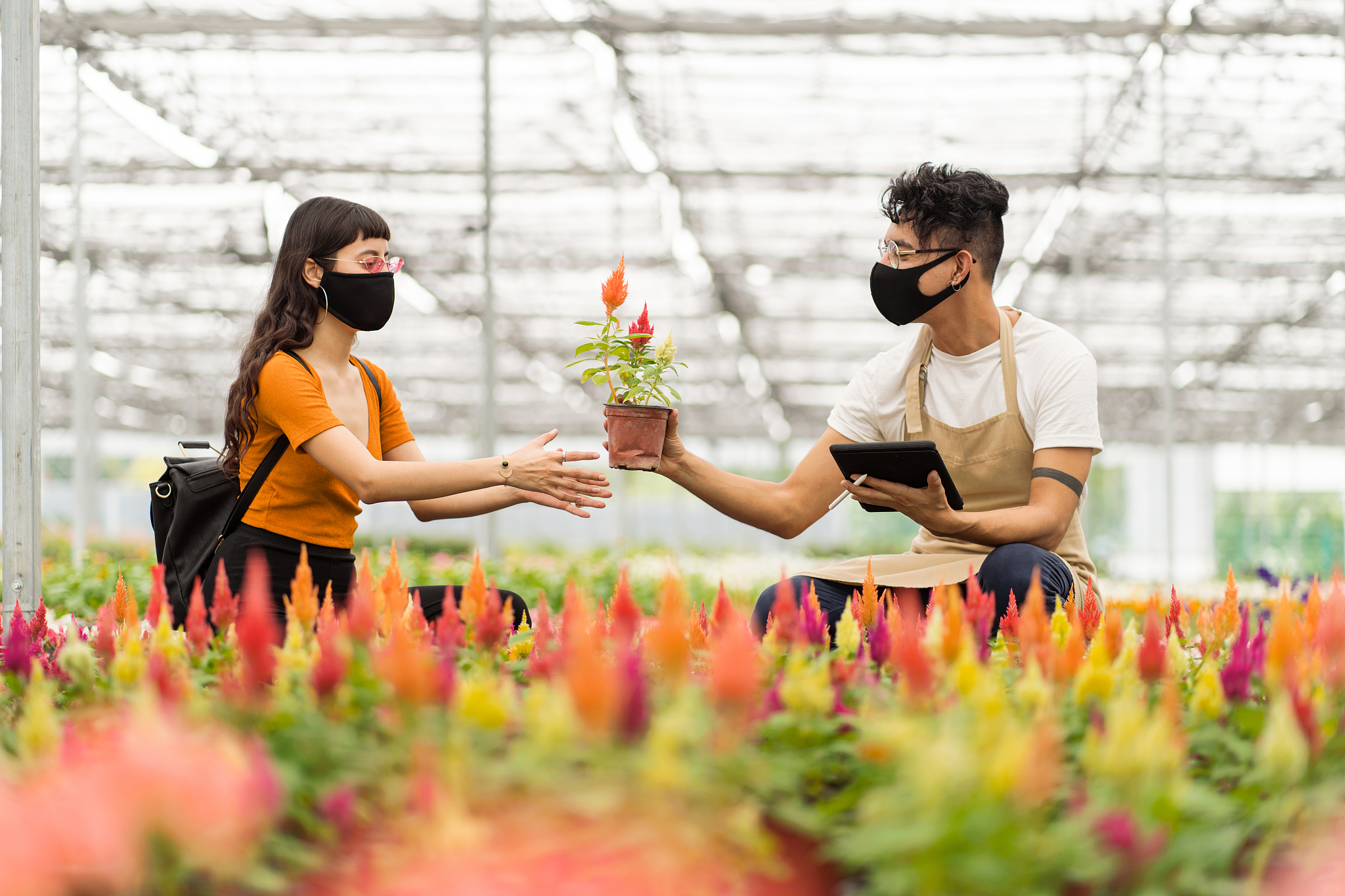 兰州职业技术学院汽车营销与服务专业：就业前景好，值得报考吗？