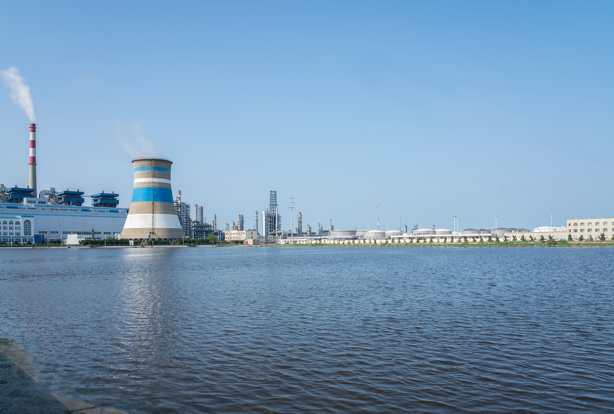 山东科技职业学院会计专业就业前景如何