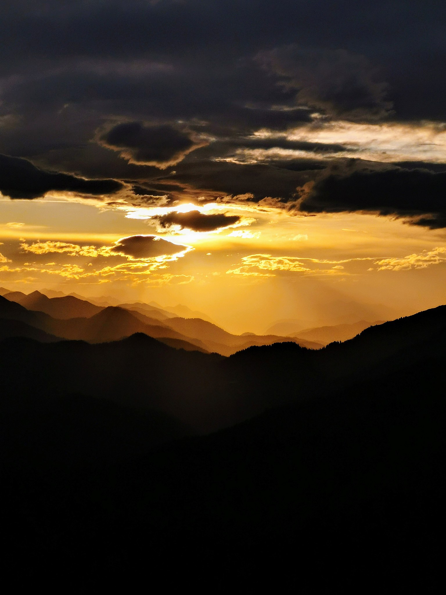 写出香芋壁纸的软件介绍软件特色软件亮点软件优势软件测评