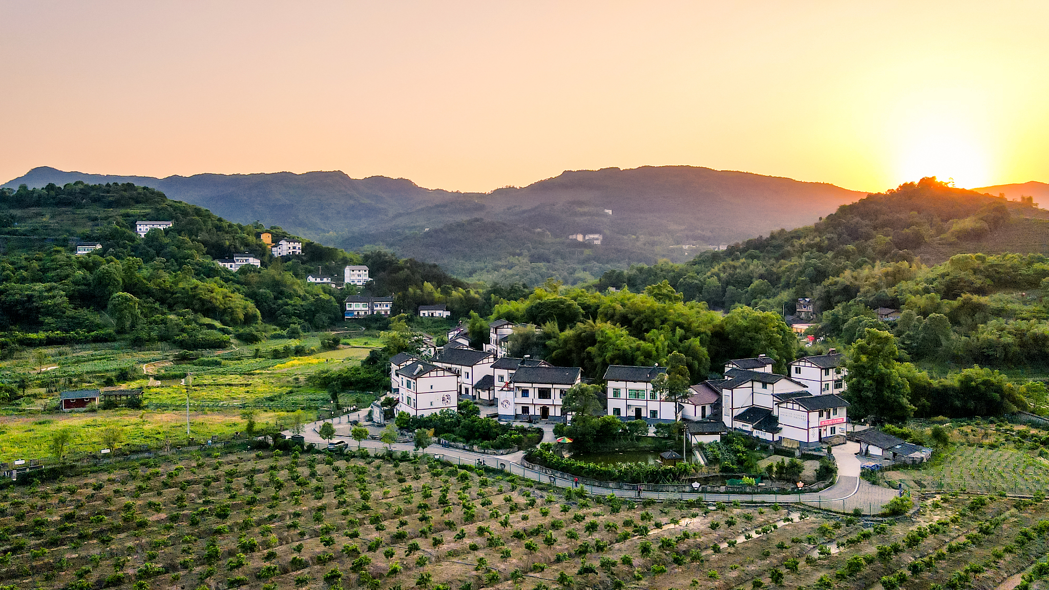 请告诉我台州市三门县有什么被报道的荣誉