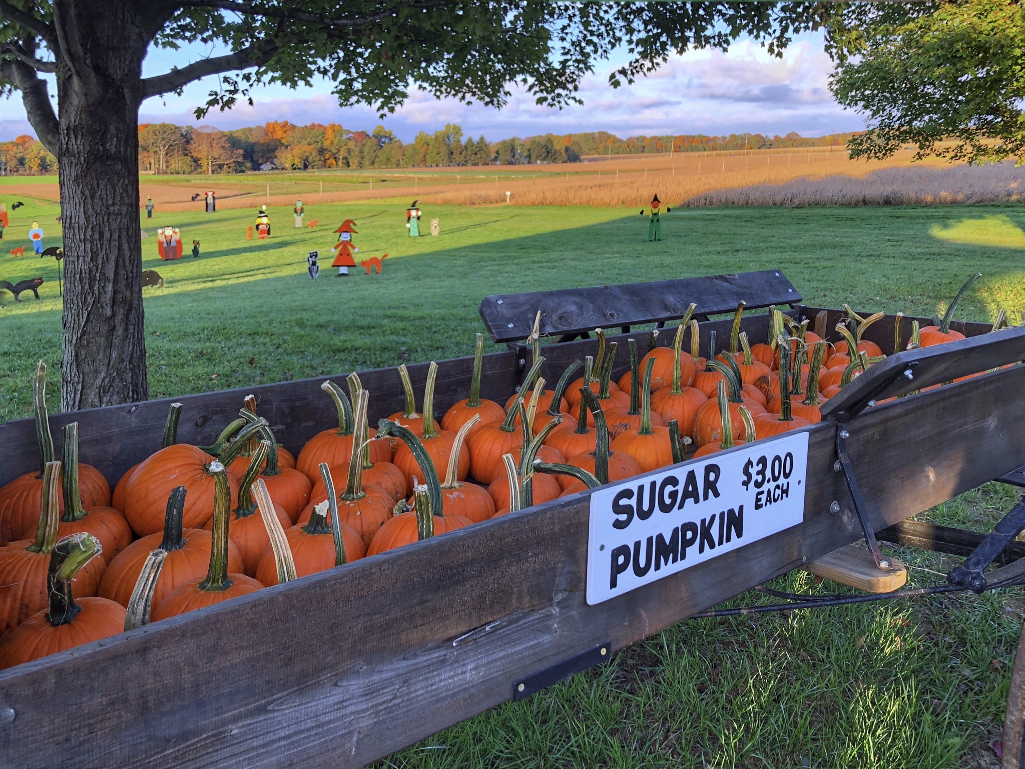 请帮我写一份中国城市规划设计研究院实习的3000字社会实践报告