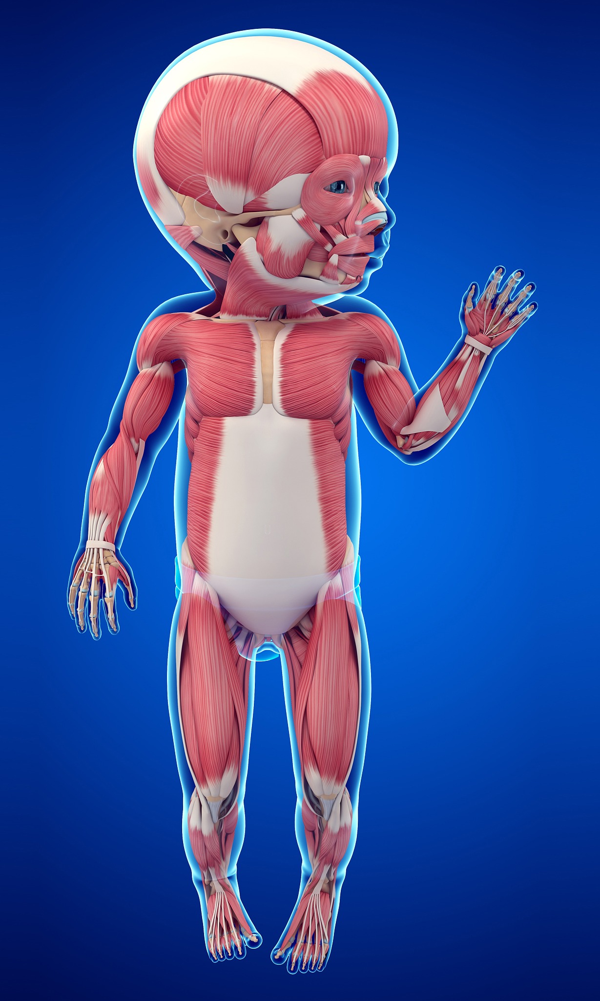 石家庄和平医学中等专业学校2022年招生简章