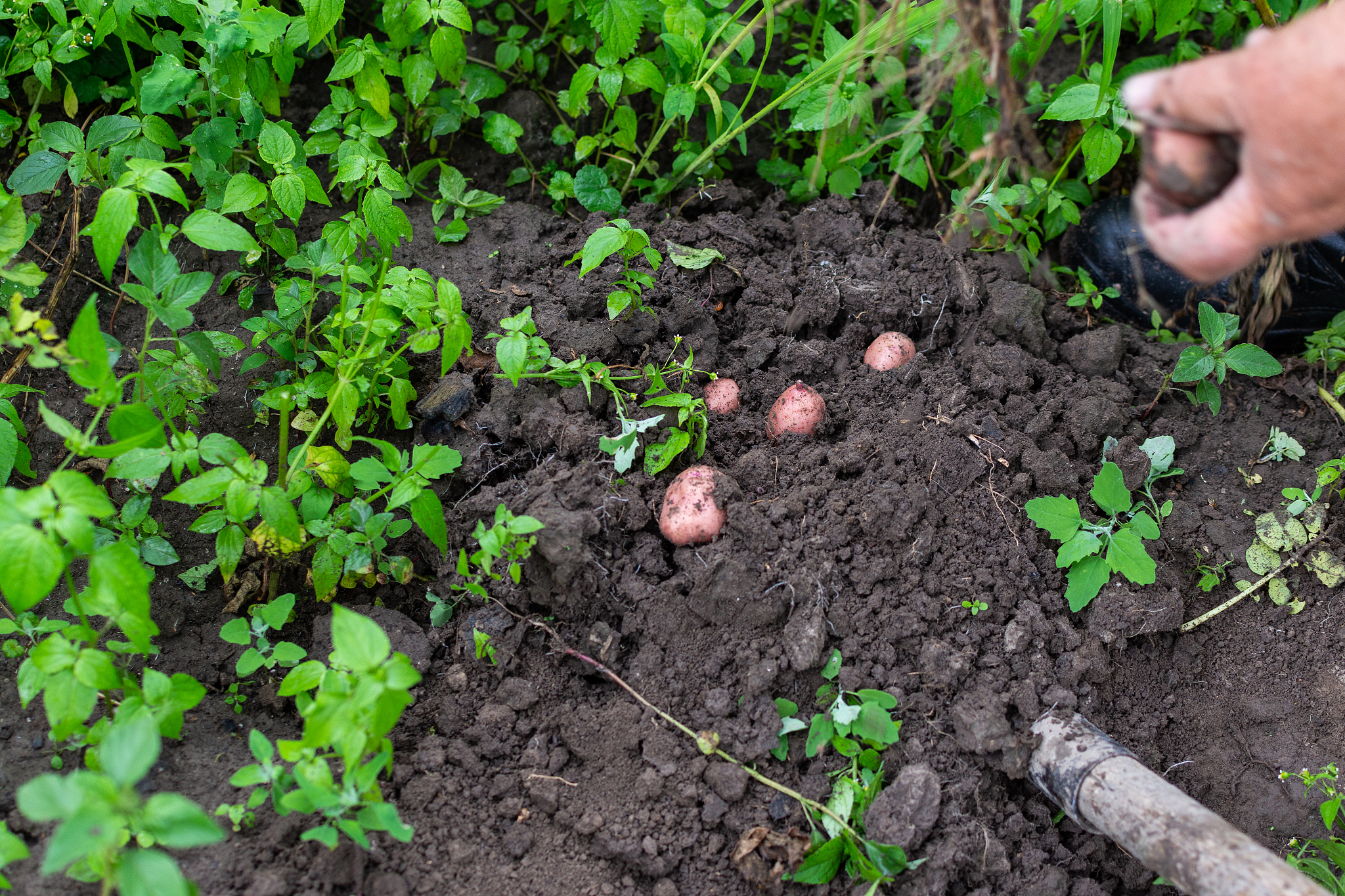 广西玉林农业学校2023年新增专业：农业机械化、信息化和生态环境保护