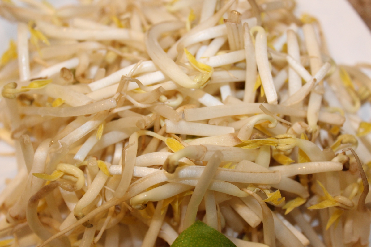 豆芽焯水时间：几分钟最佳？详细步骤解析