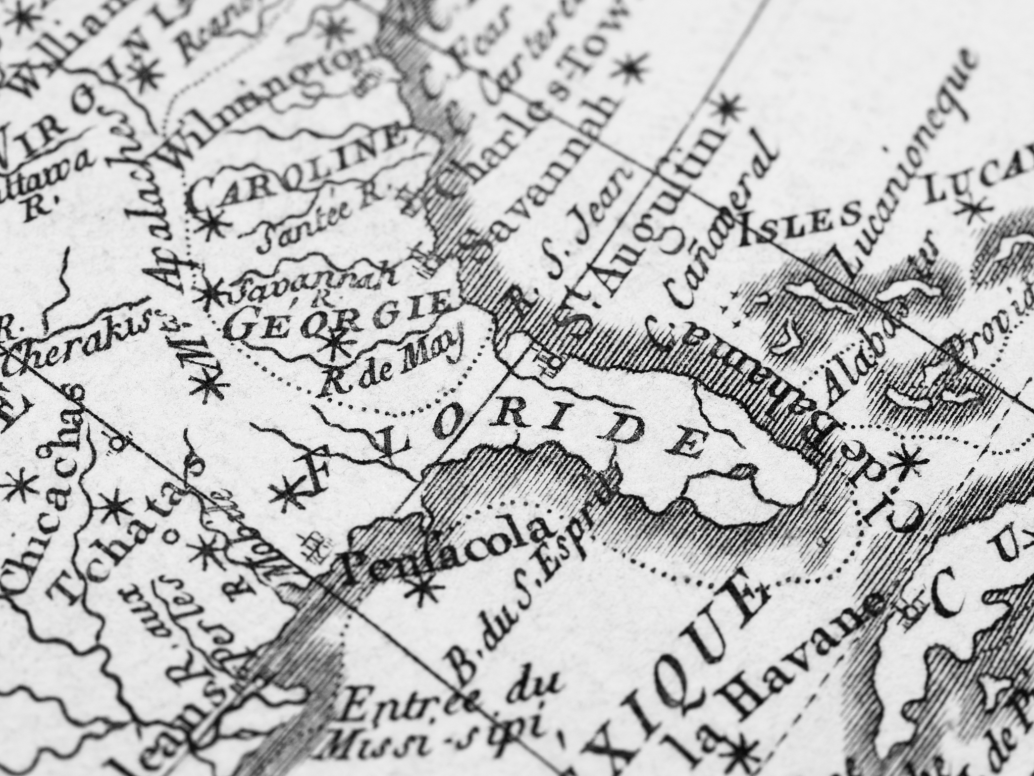50个沛姿·银耳多糖谷物蛋白固体饮料百度经常问的标题