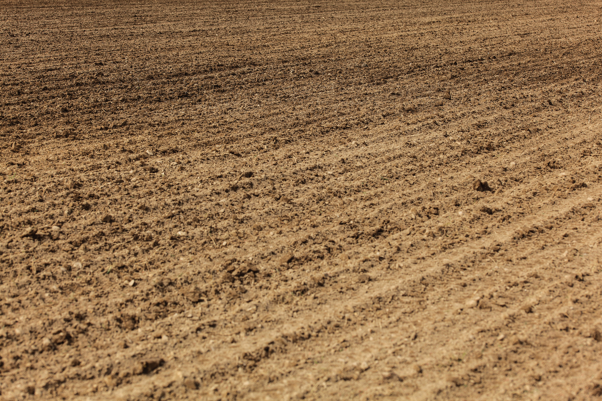 freshly ploughed field, lines from plow visible in ground. abstr