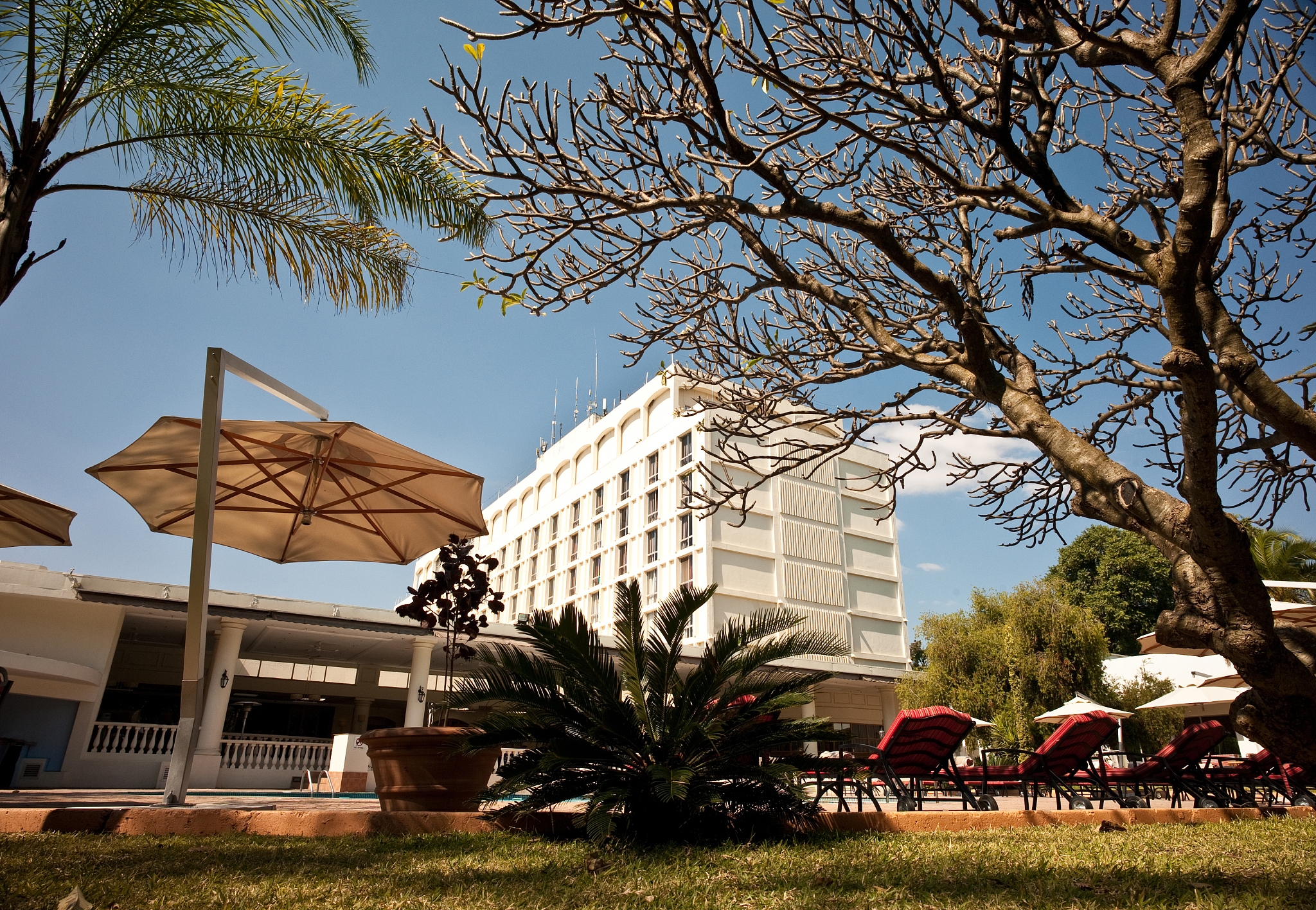 african tropical resort