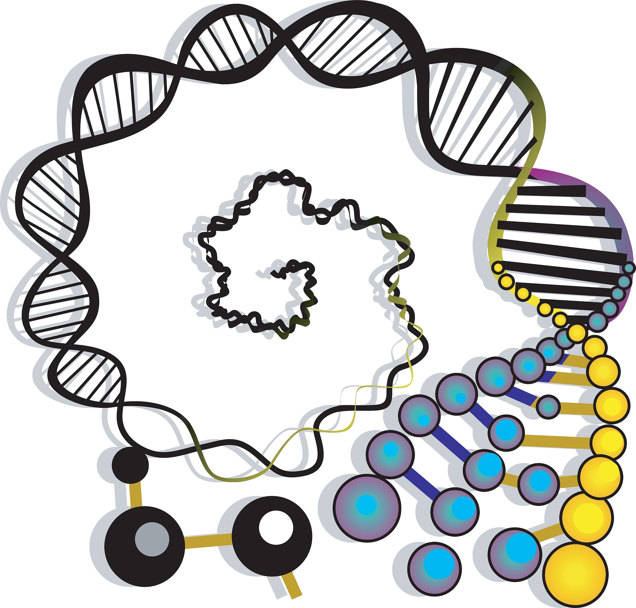 RNA 翻译过程演示：简单机械传动装置