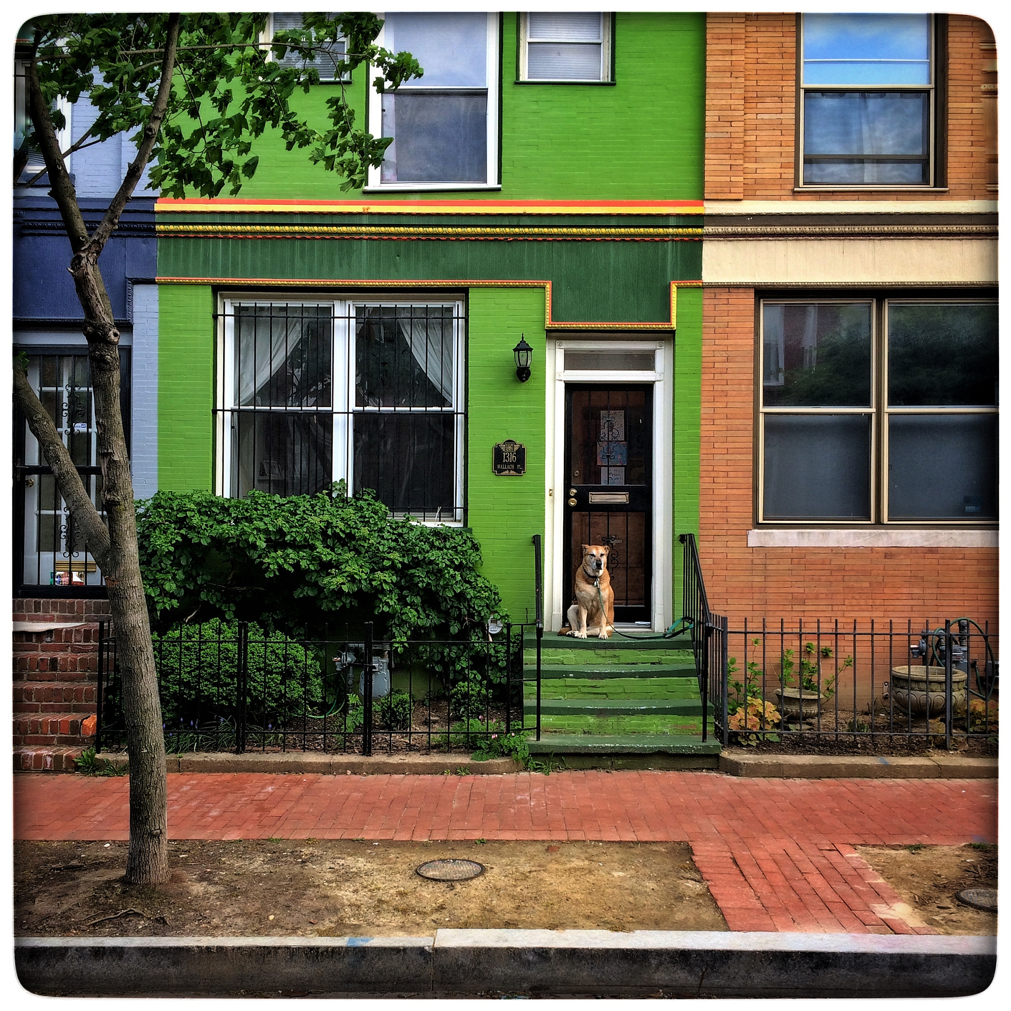 The Significance of Laughter in 'The House on Mango Street'