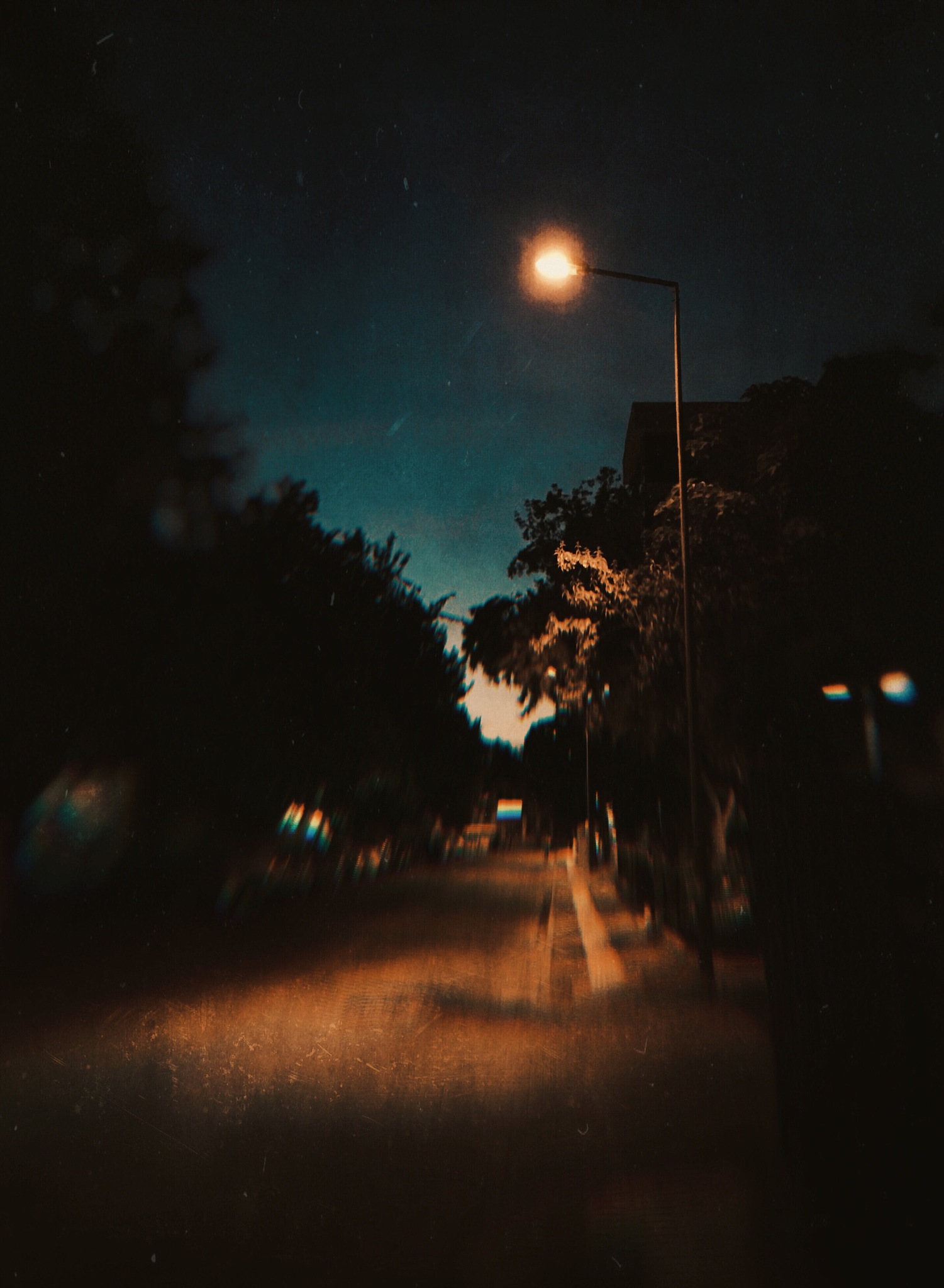 怎样评价《你是长夜也是灯火》