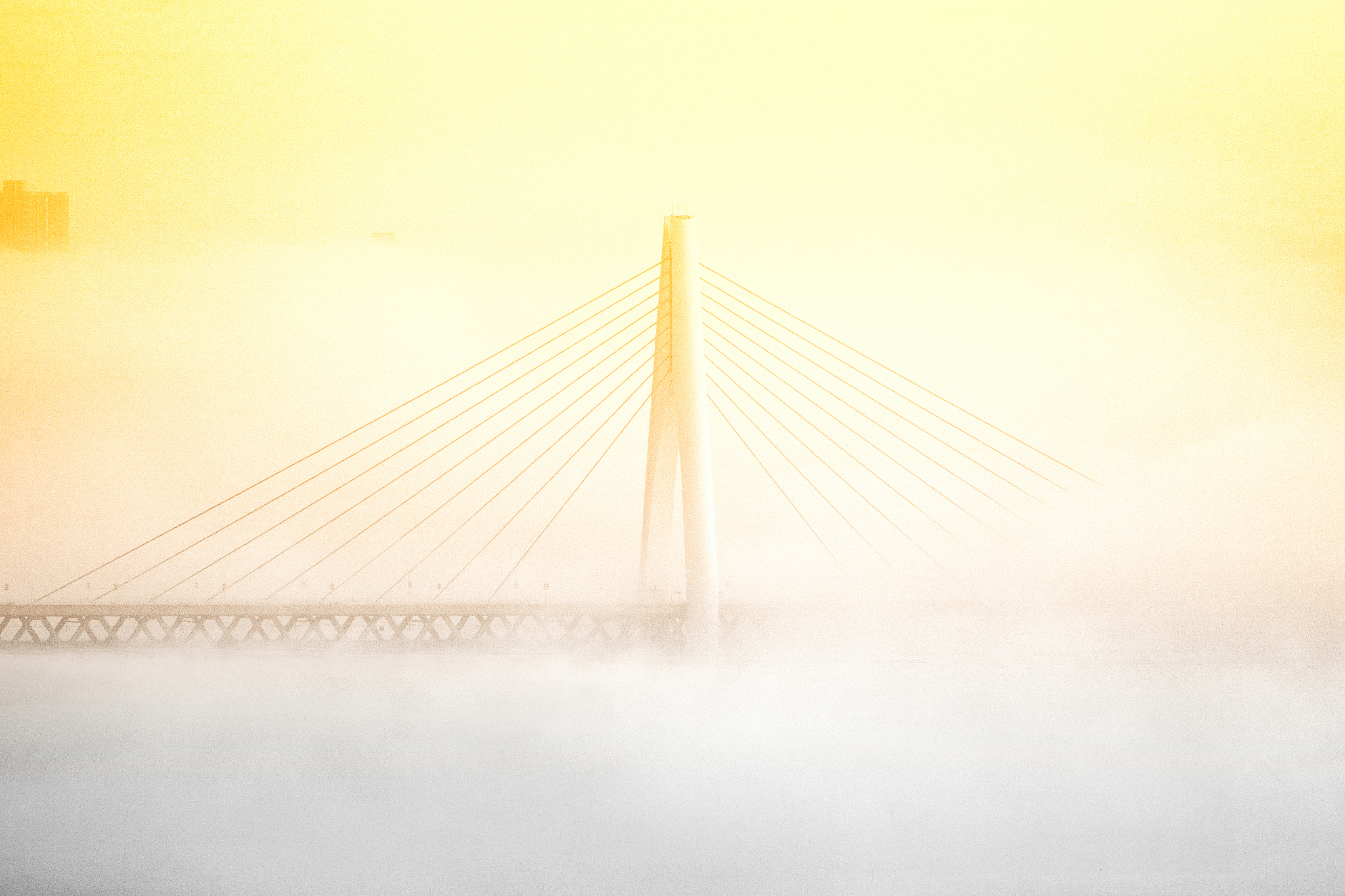 重庆市森林资源保护问题及对策分析研究背景