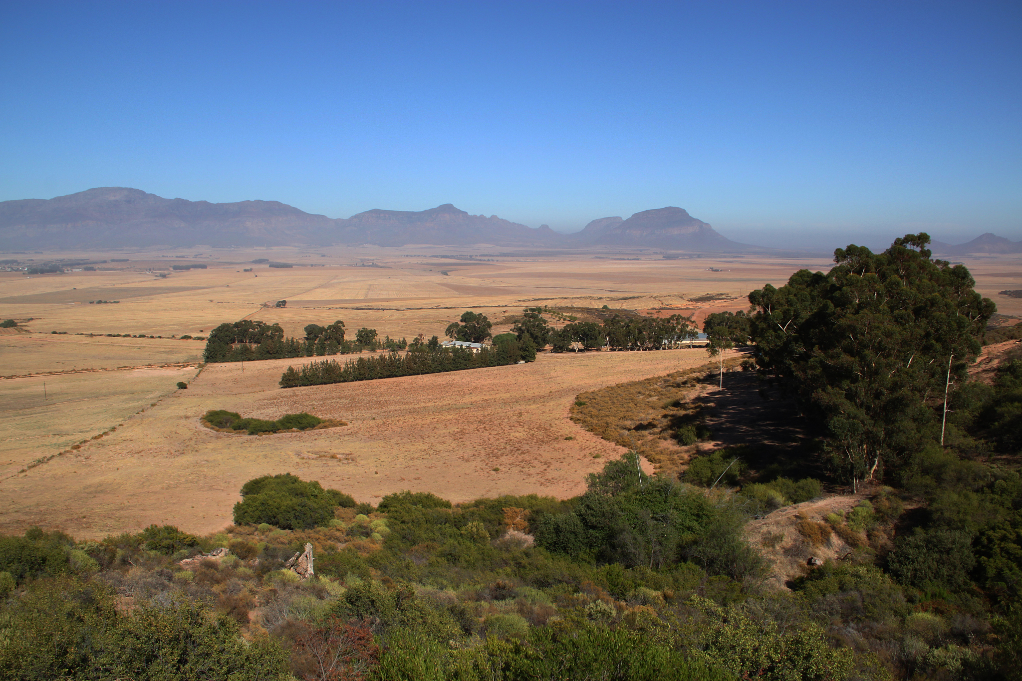 south africa: western cape