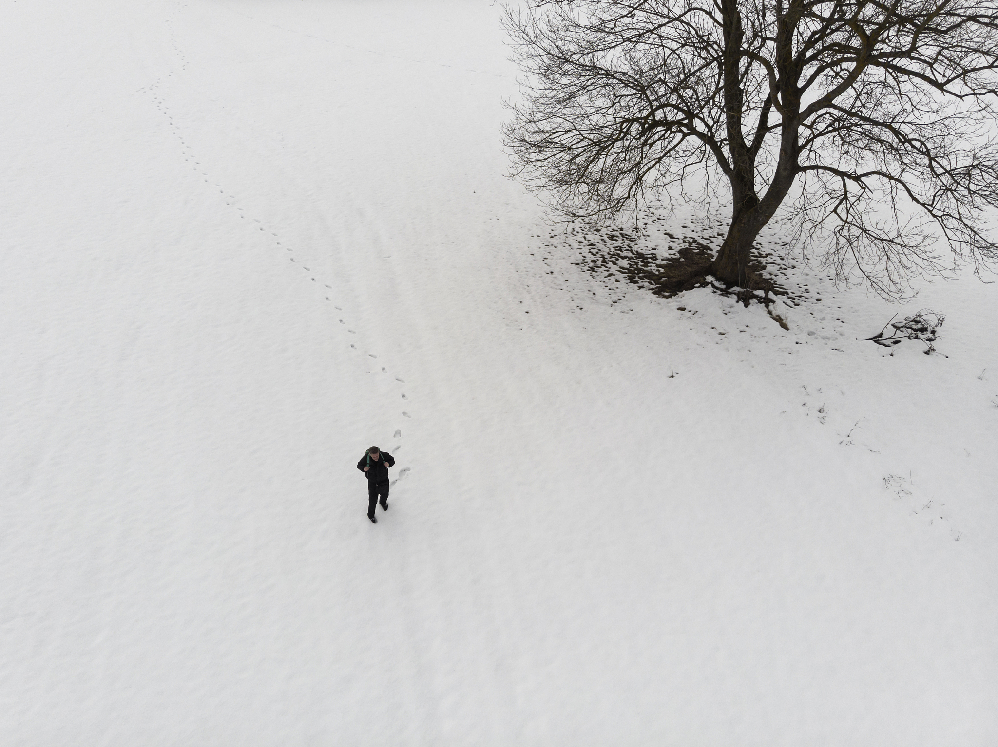 巨人严冬孤独求生：从绝望到重生