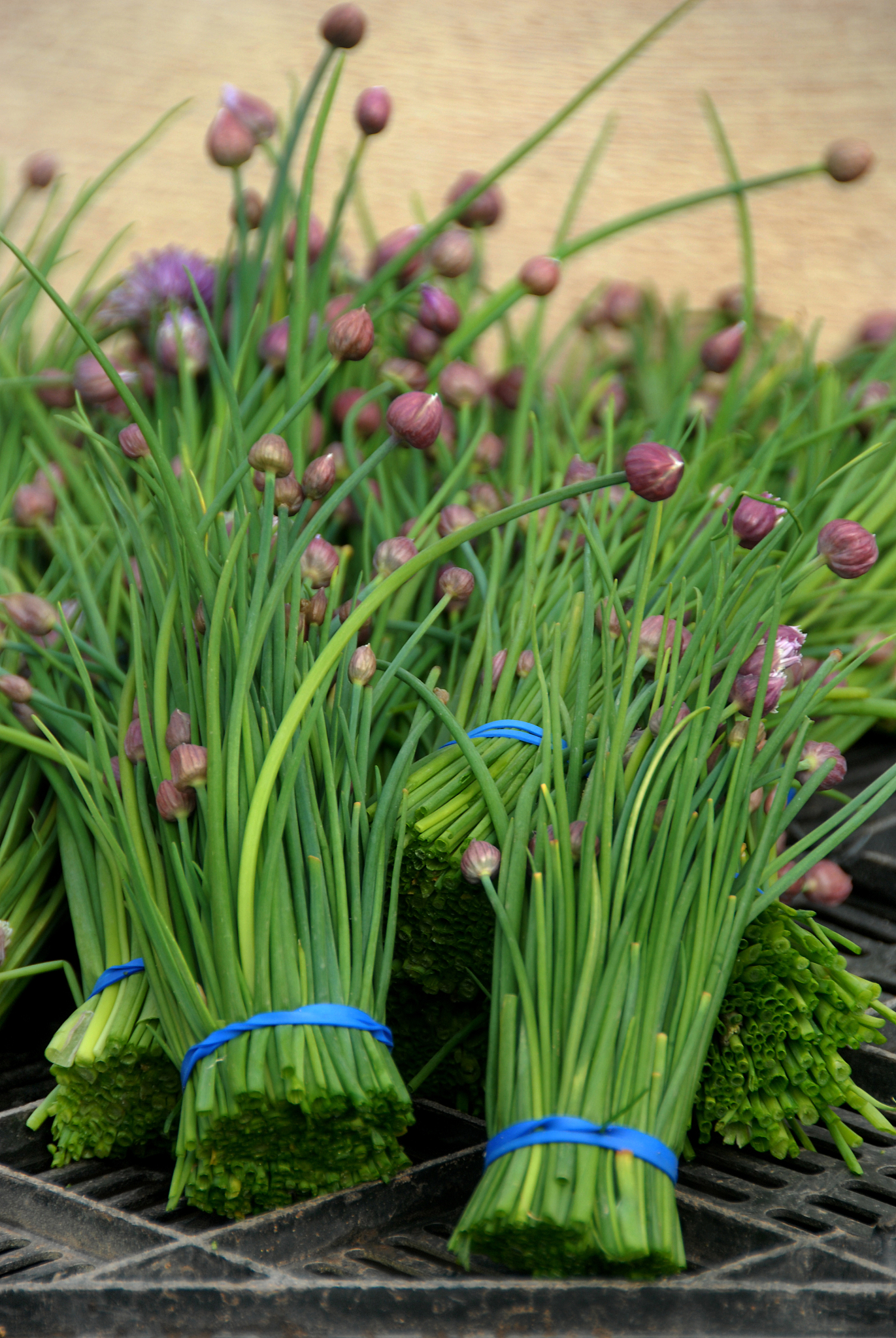 chives